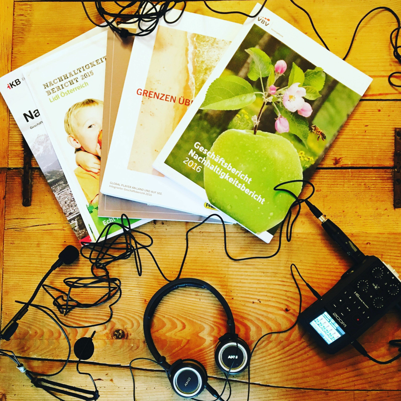 Tonspur N - Der Podcast zu Nachhaltigkeit und CSR